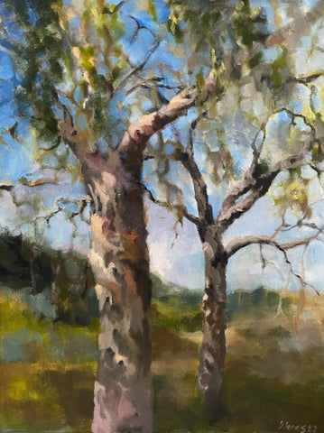 Beyond the trees