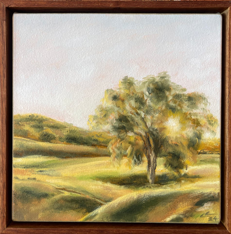 Country light