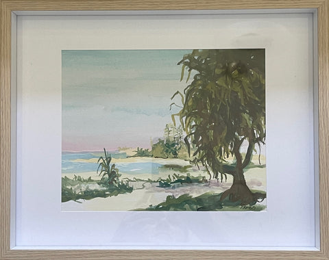 Cooly beach (1)