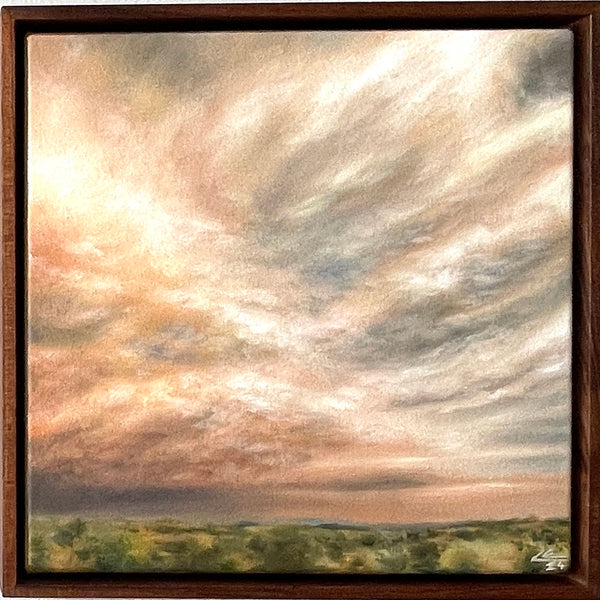 If clouds could talk